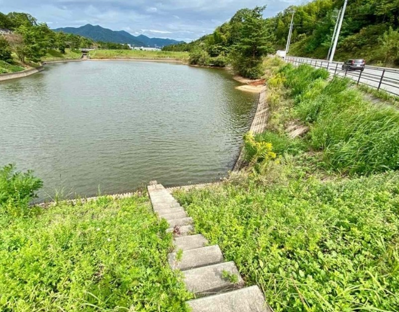 연못관리
