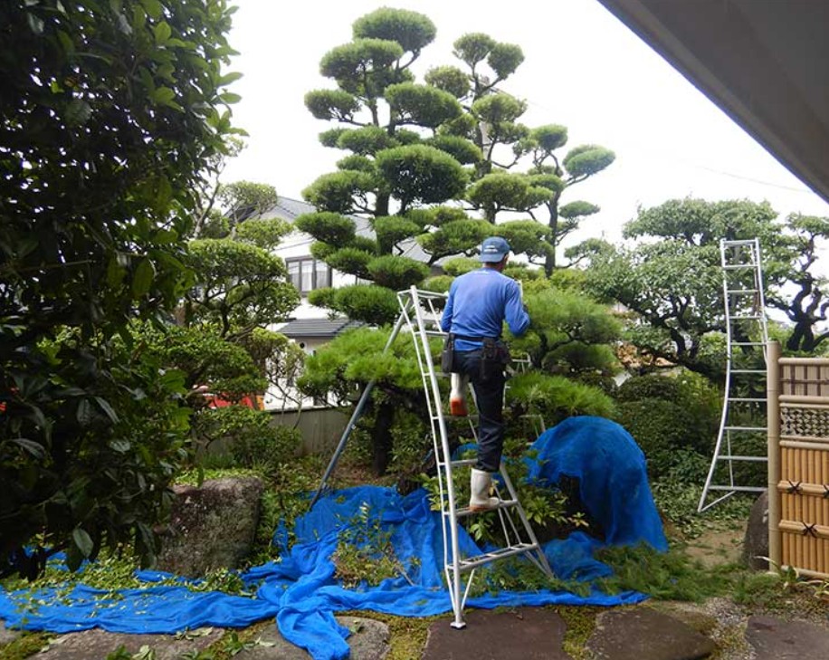 정원