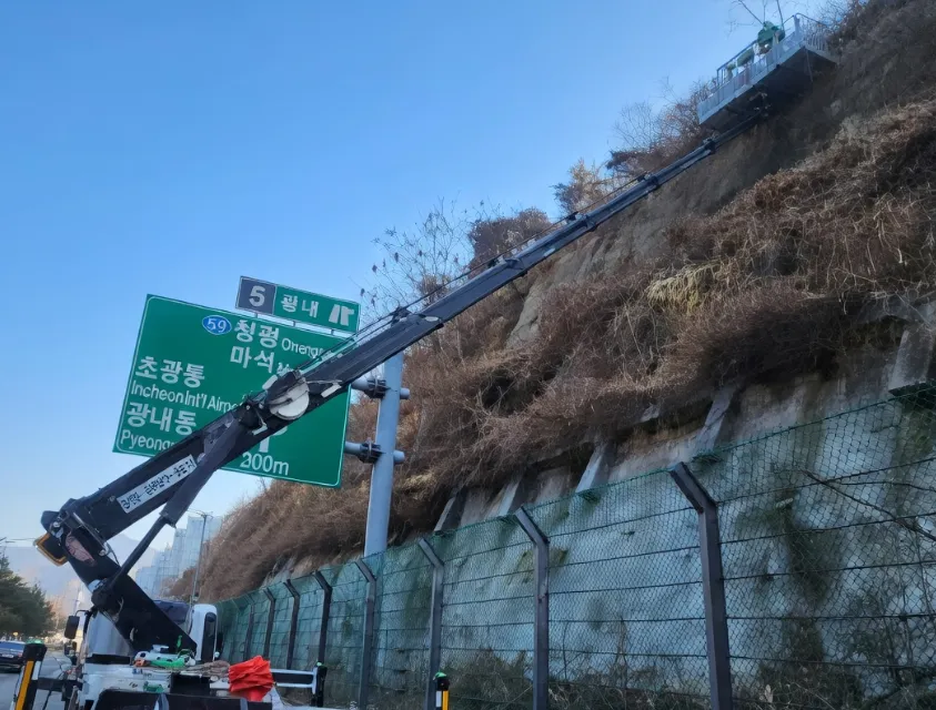 고속도로변 위험나무 제거