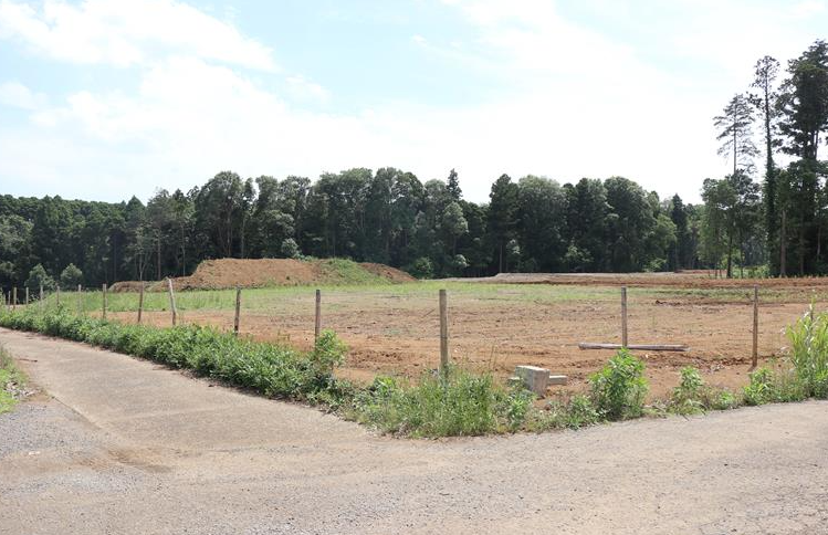 잔디시공·관리 작업 - 잔디 깔기 전문