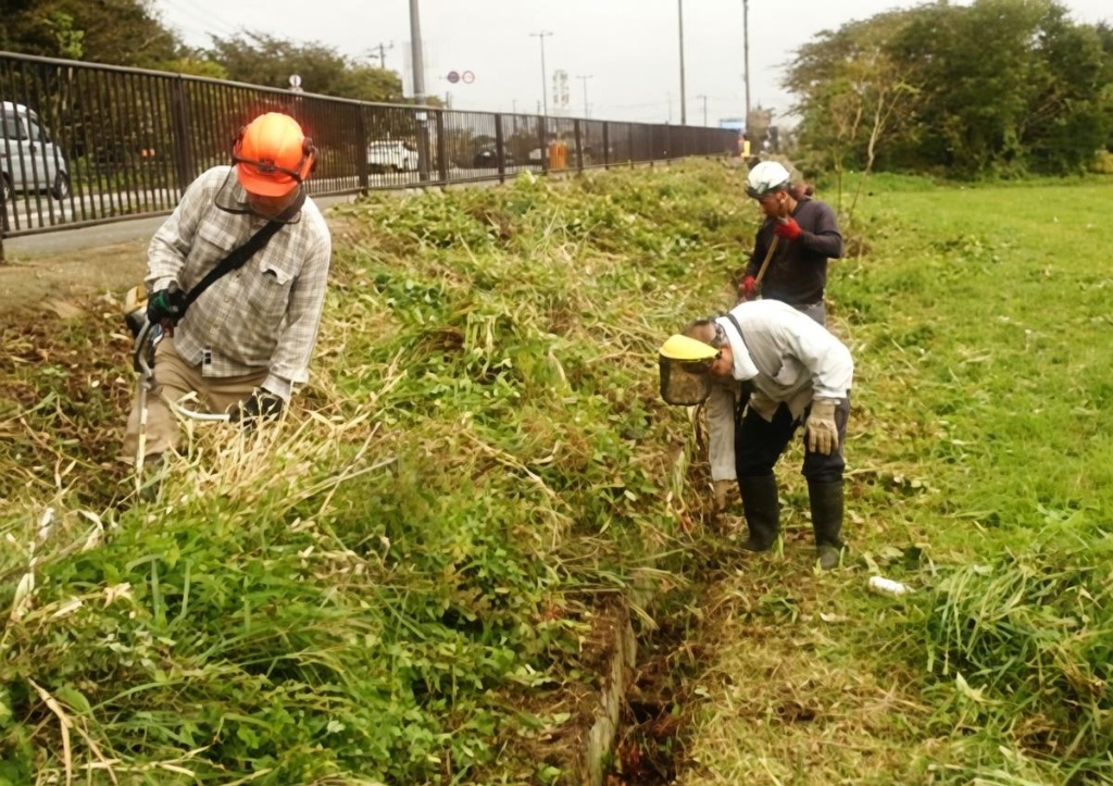 예초작업 현장 - 초록손조경건설